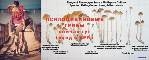 экстази Бородино