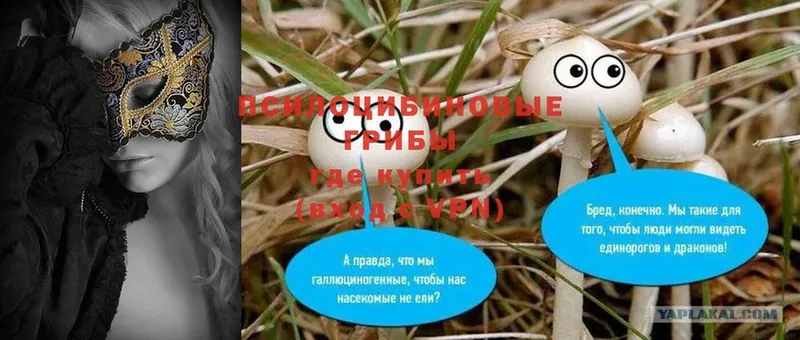 Псилоцибиновые грибы Psilocybe  наркошоп  shop Telegram  Мытищи 